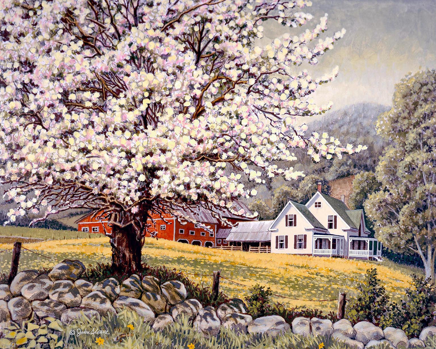 Apple Blossom Time
