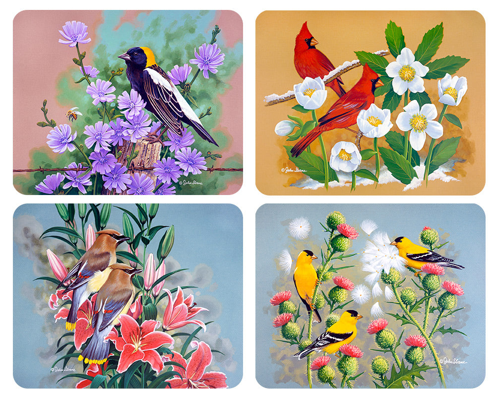 Birds #1, Magnet Set