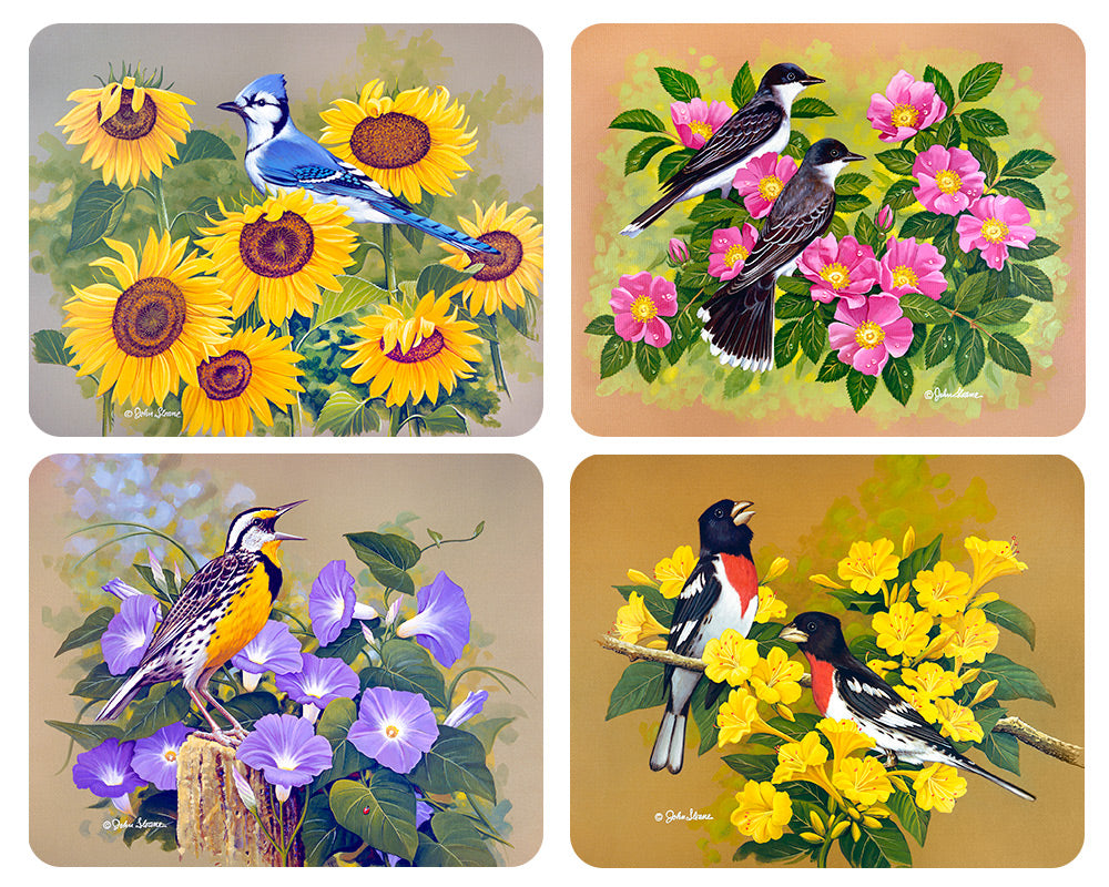 Birds #2, Magnet Set