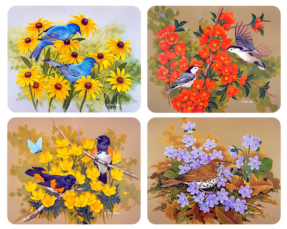 Birds #3, Magnet Set