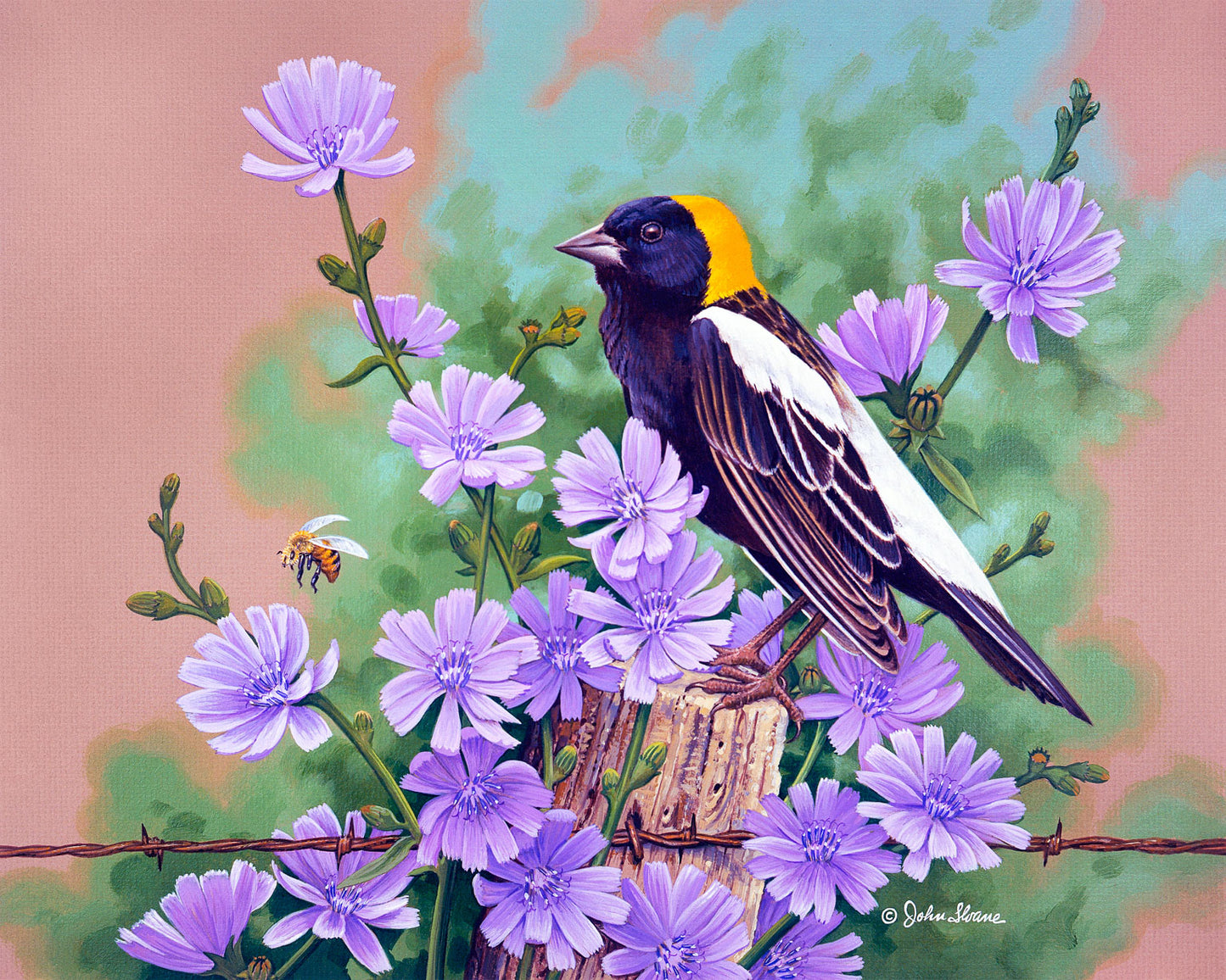 Bobolink