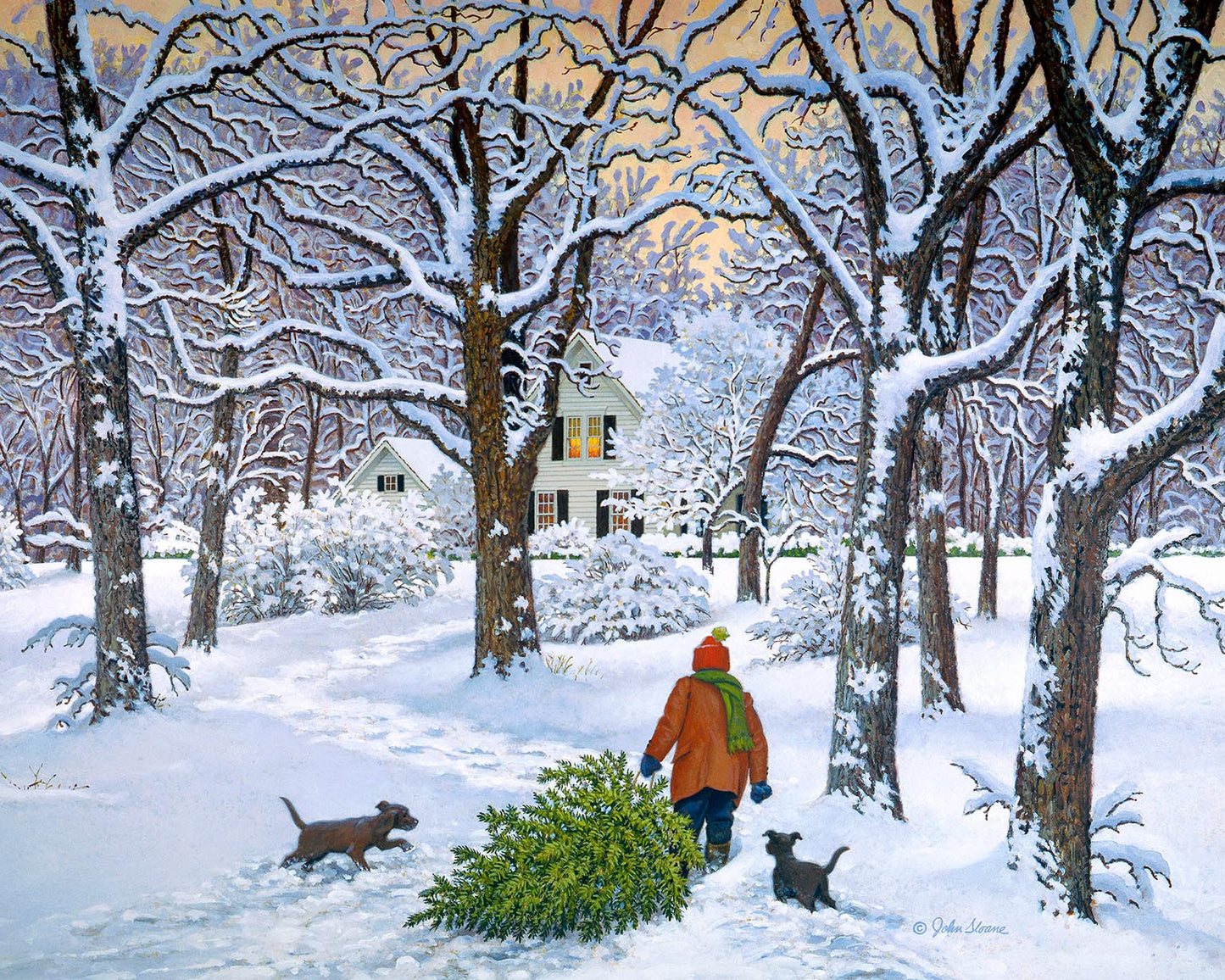 Bringing Home the Tree