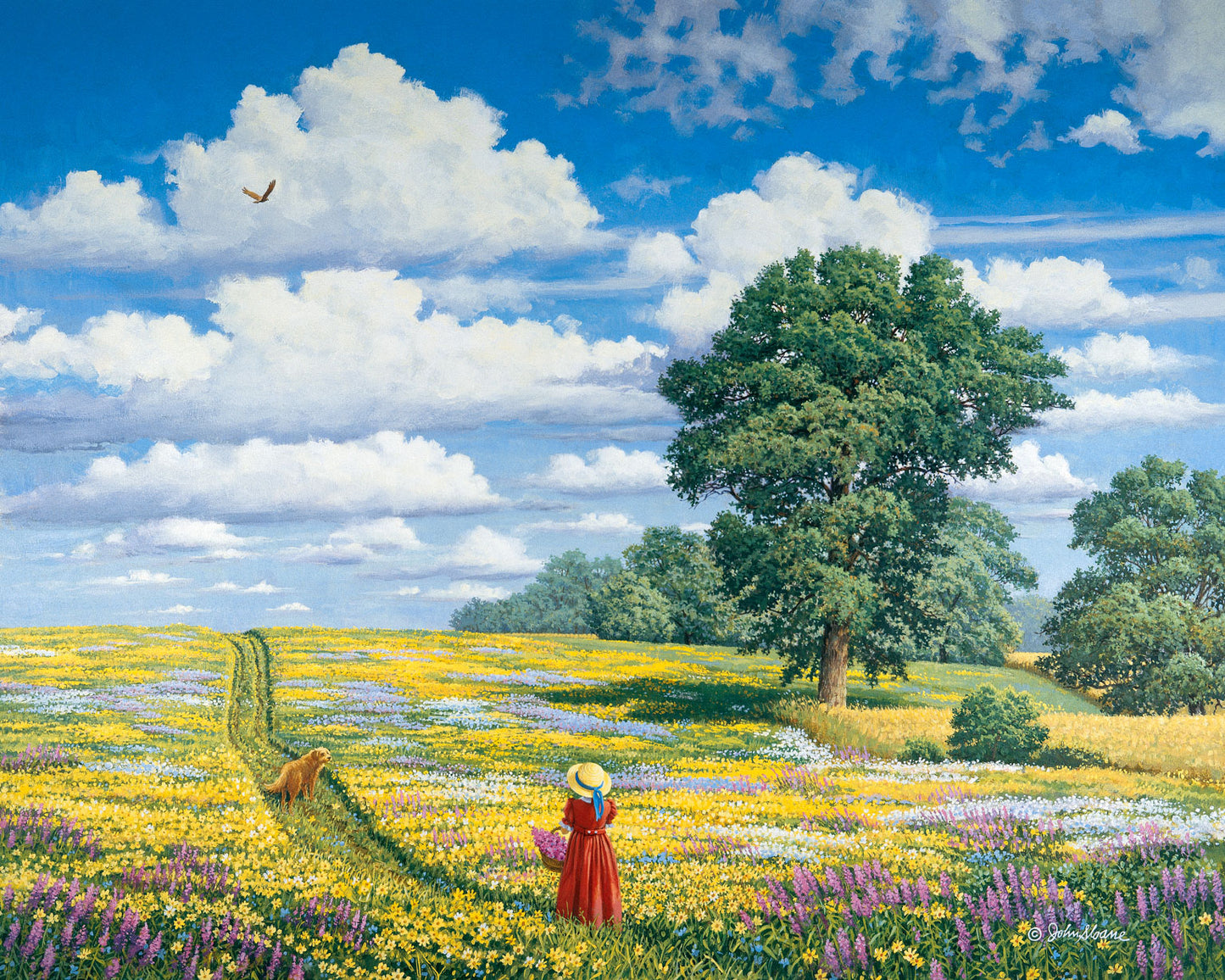Field of Dreams