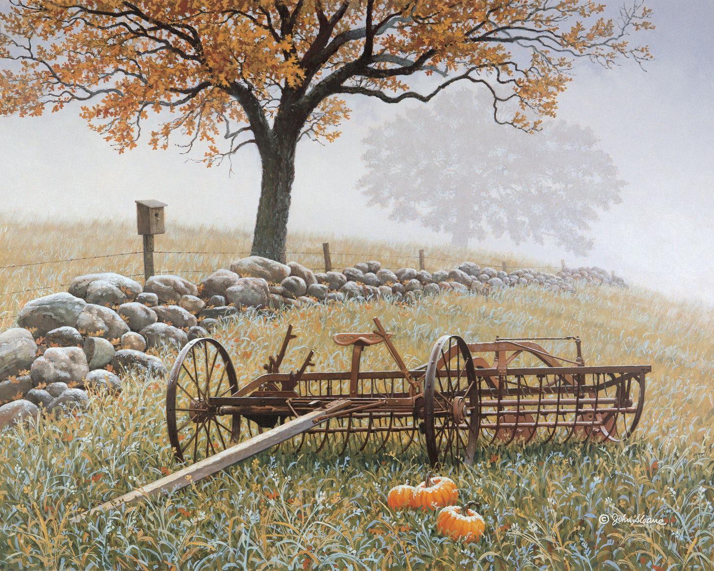 Frosty Fields