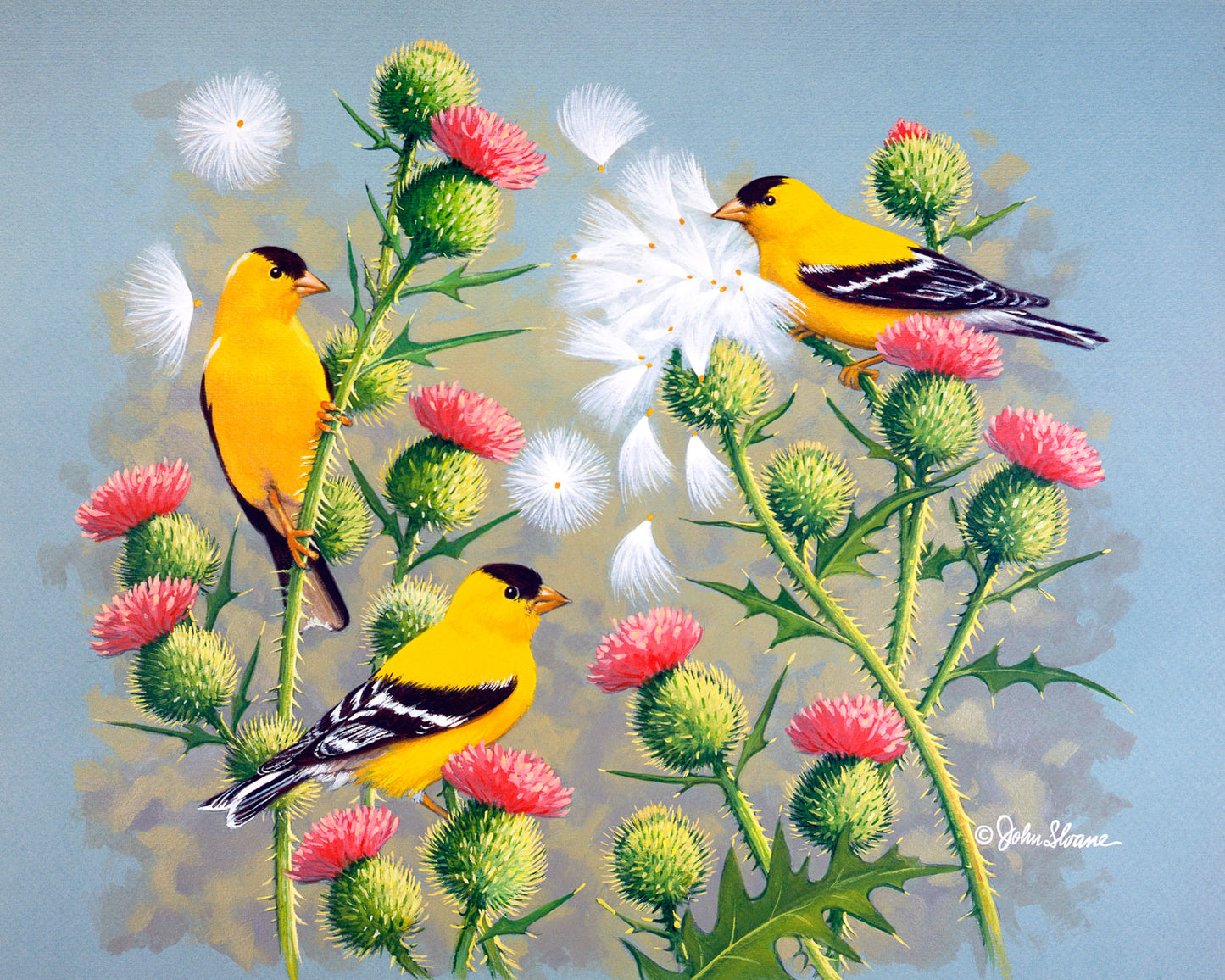 Goldfinches