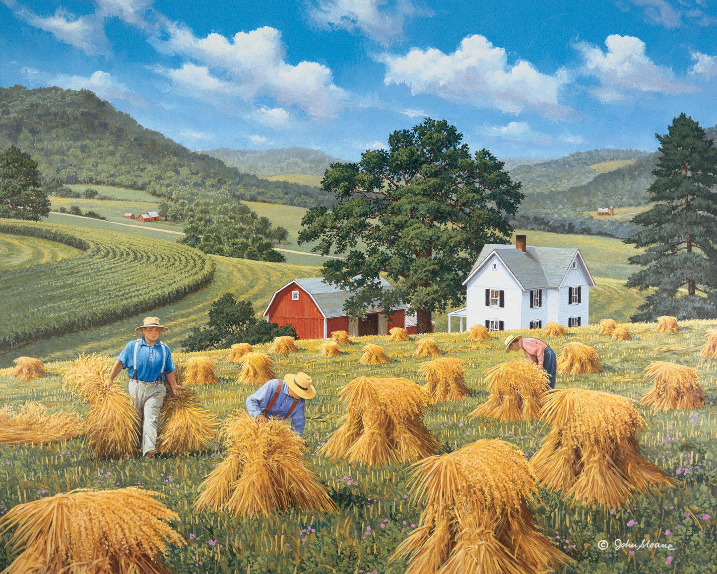 Hilltop Harvest