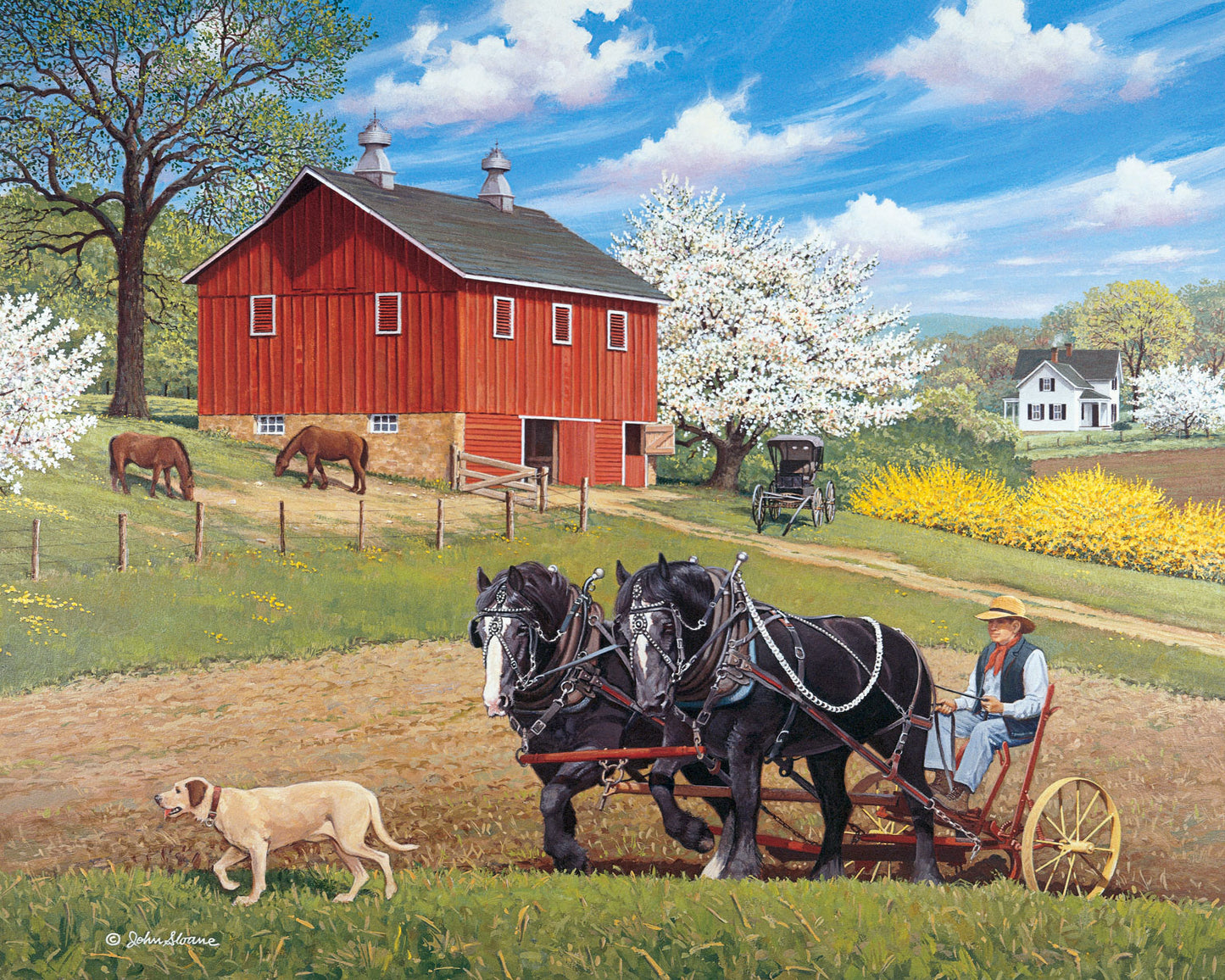 Partners in the Field