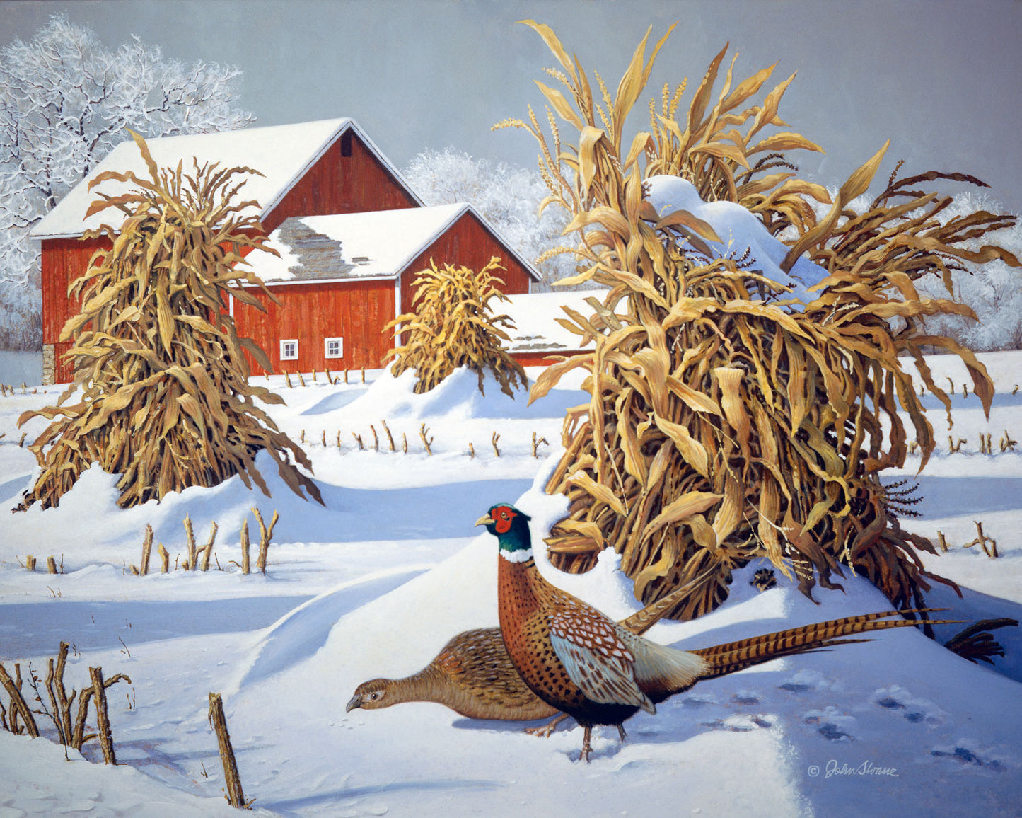 Pheasant Run