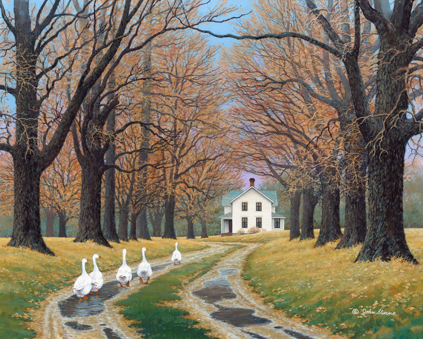 Puddle Parade