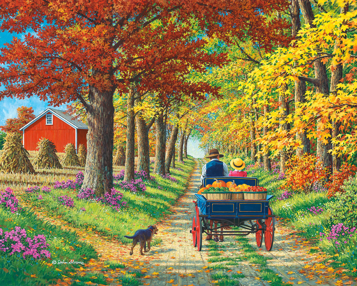 Shady Lane