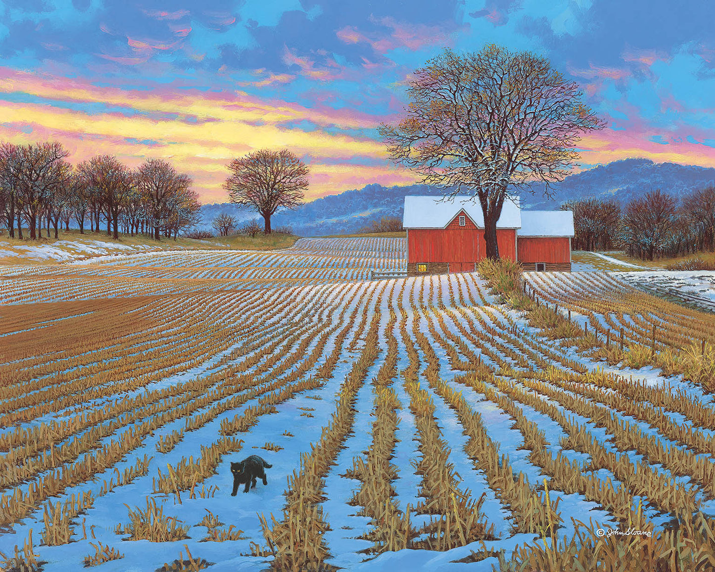 Sleeping Fields