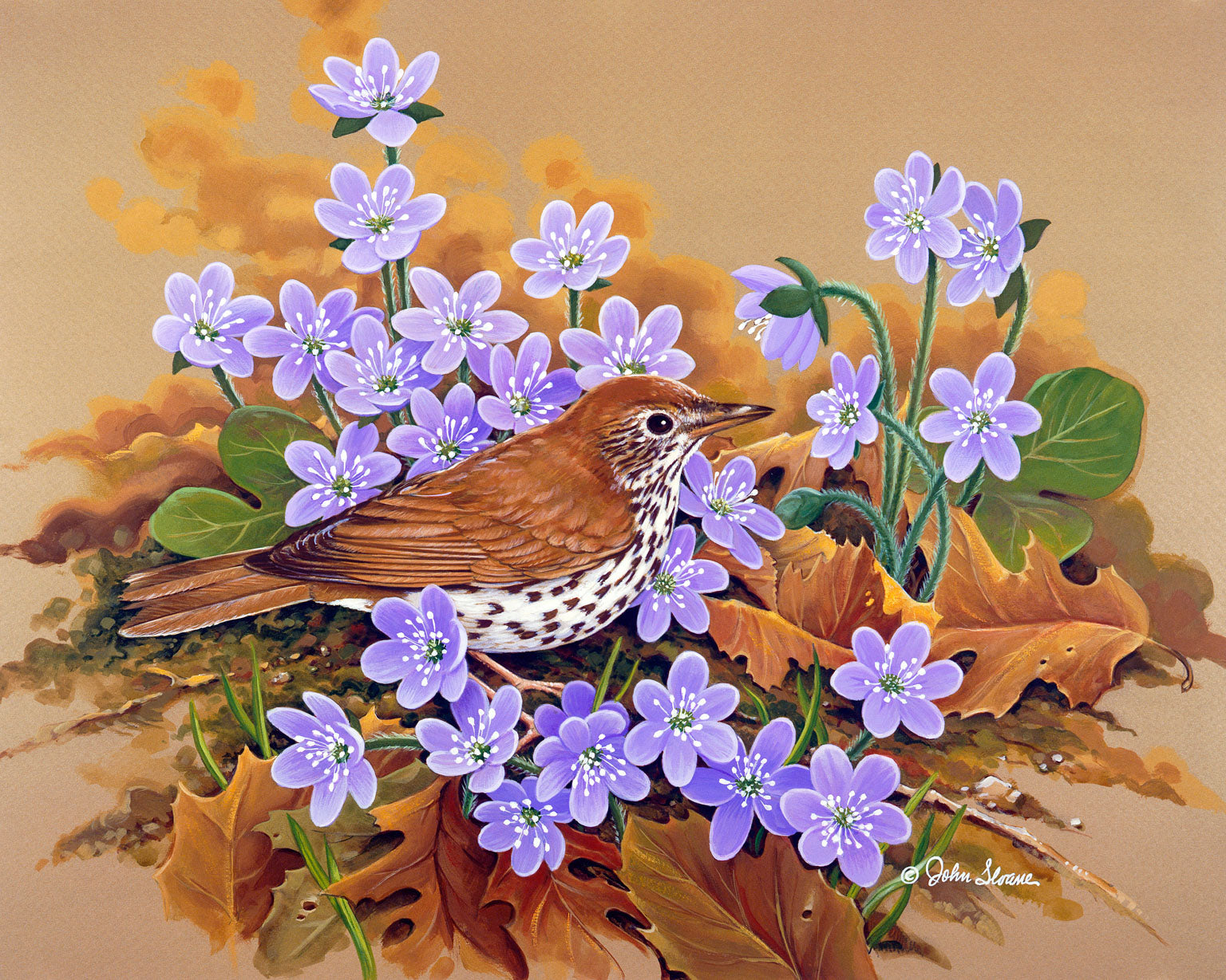 Wood outlet Thrush Painting