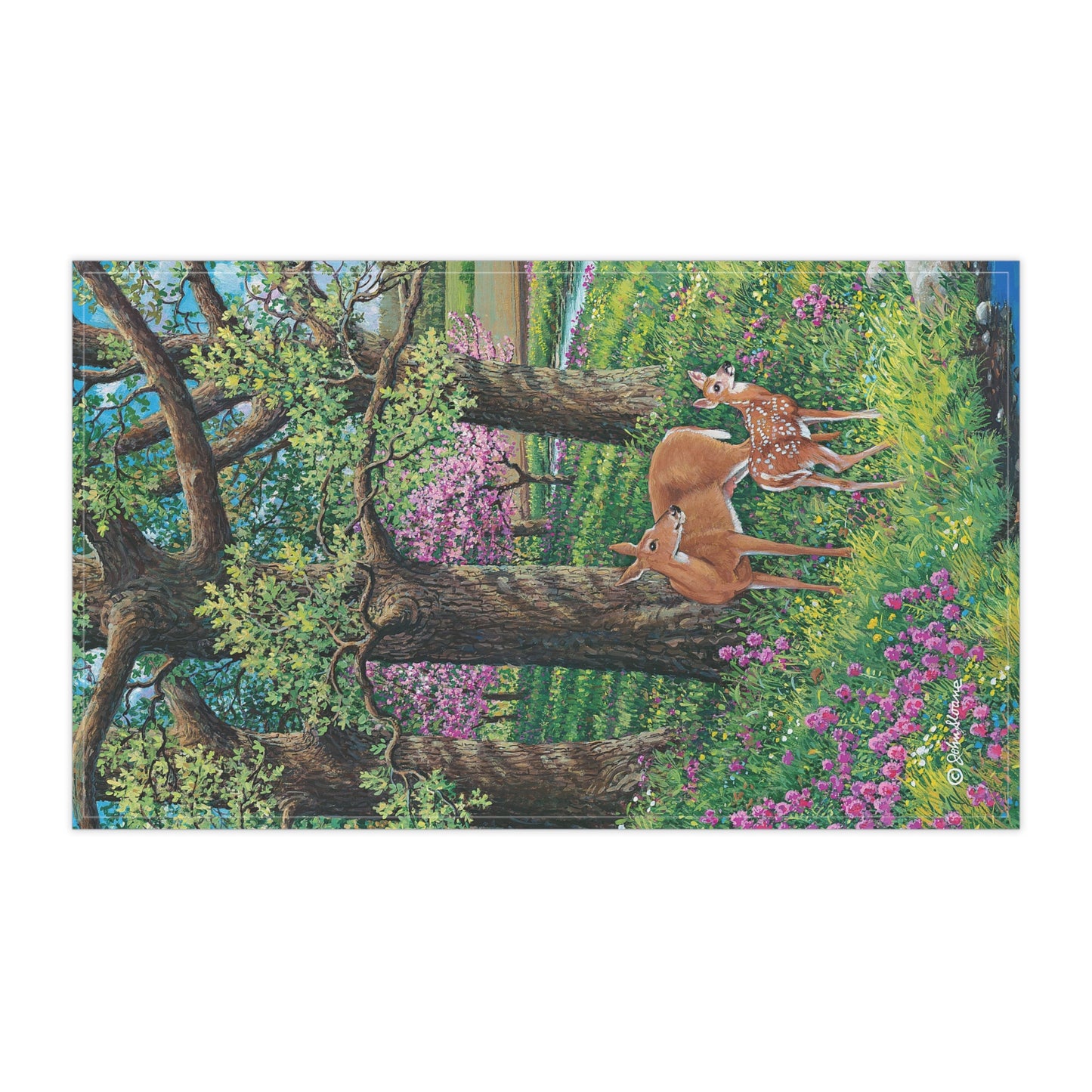 Tea Towels (Venturing Out)