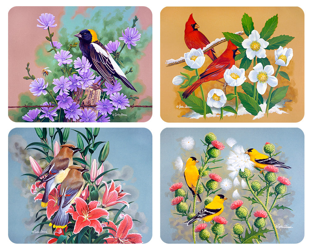 "Birds (#1)" Magnet Set by John Sloane