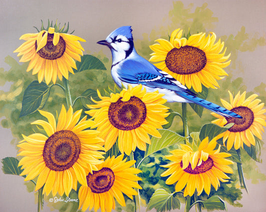 Bluejay and Sunflowers