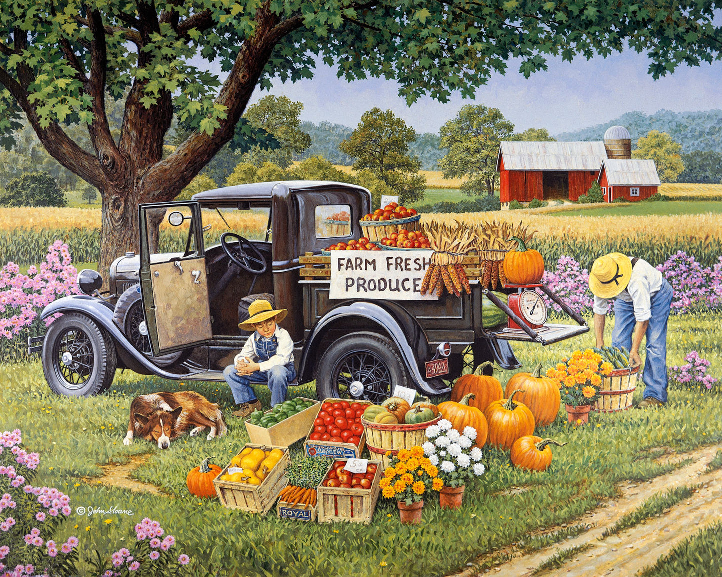 Home Grown - Puzzle by John Sloane