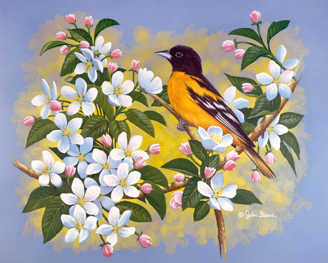 Spring Print Collection by John Sloane – Page 3 – John Sloane Art