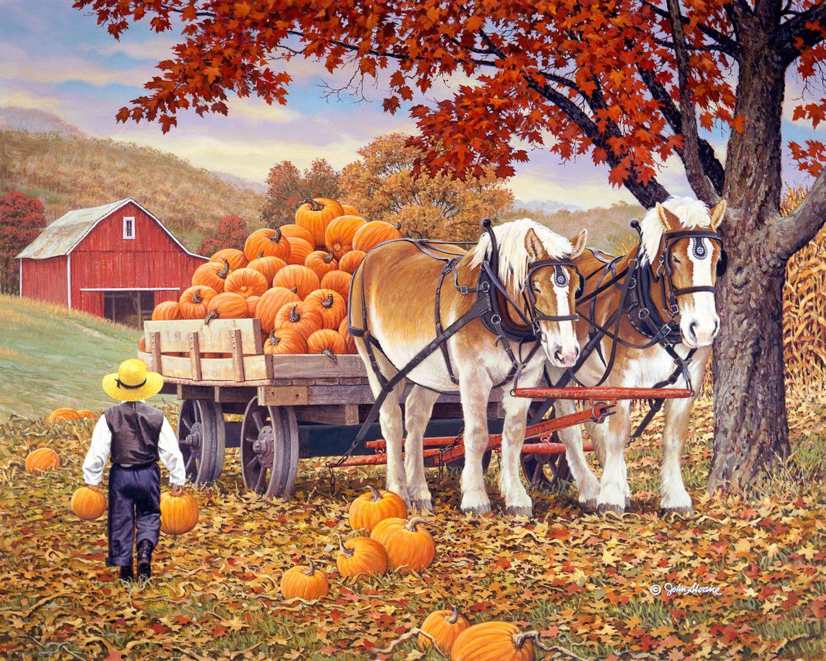 Pumpkin Patch © John Sloane – John Sloane Art